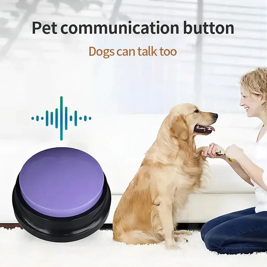 Training Dogs and Cats: A Positive, Science-Backed Approach