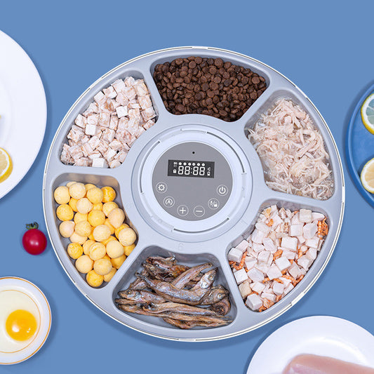 automatic pet feeder 1