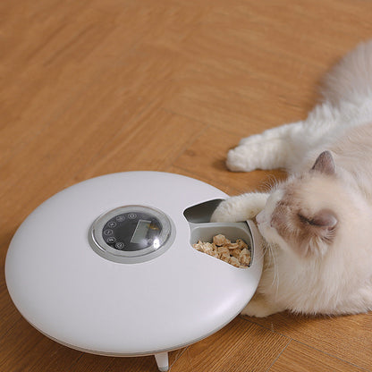 automatic_pet_feeder 6
