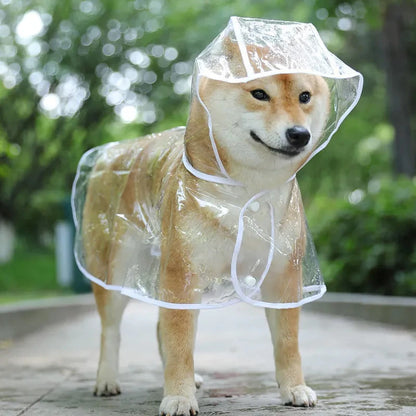 Dog Transparent Raincoat 
