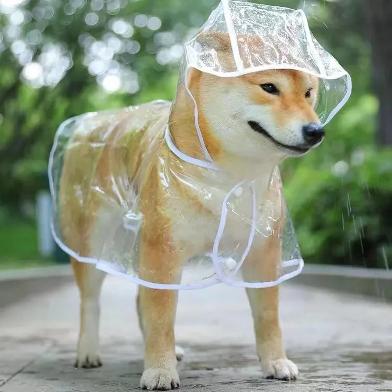 Dog Transparent Raincoat 