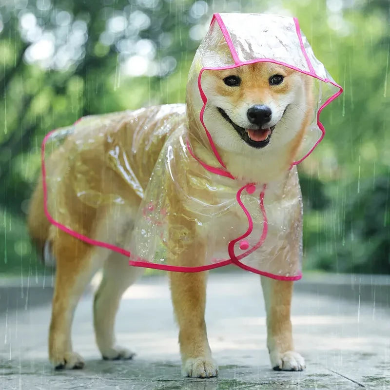 Dog Transparent Raincoat 