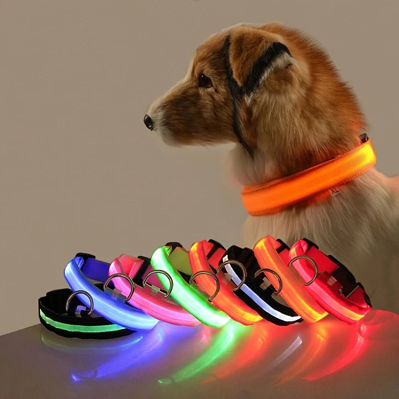 LED Safety Collar