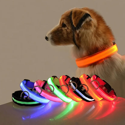 LED Safety Collar