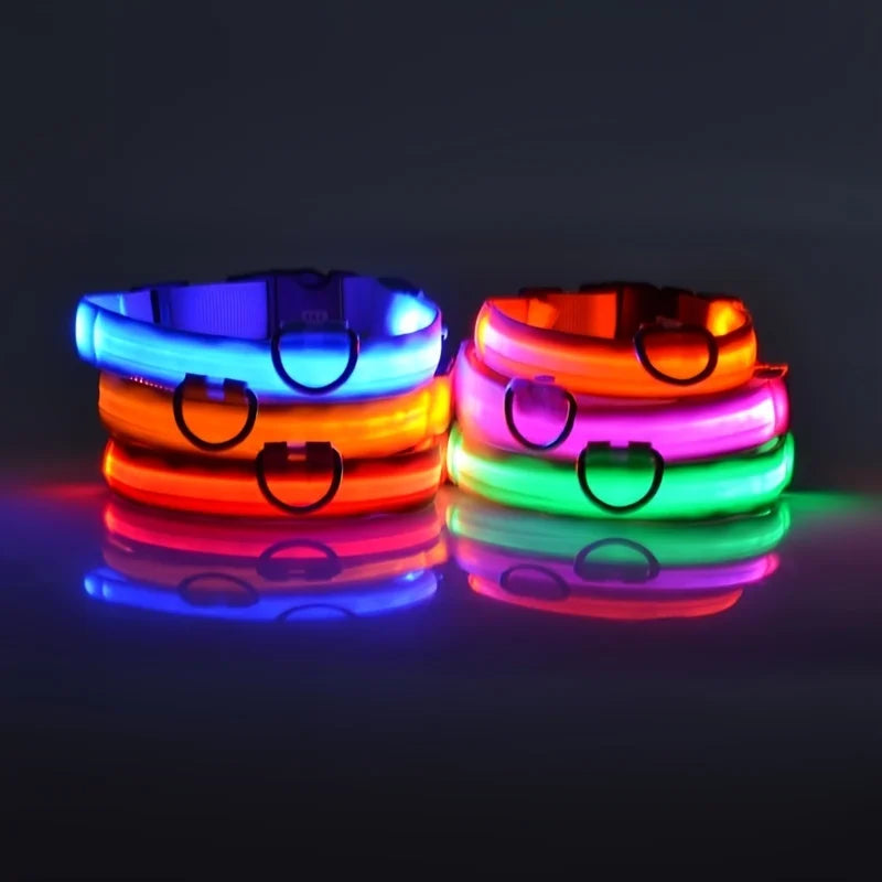 LED Safety Collar