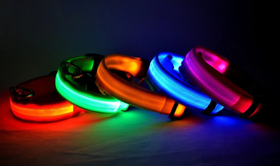LED Safety Collar