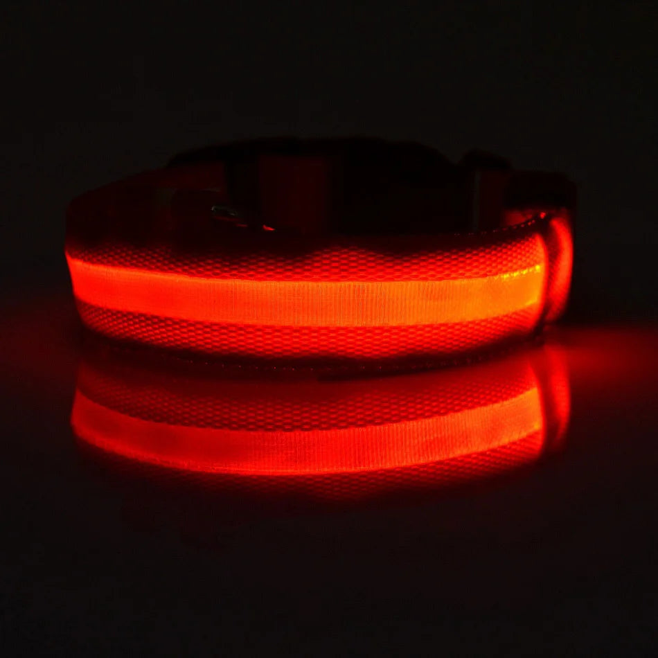 LED Safety Collar