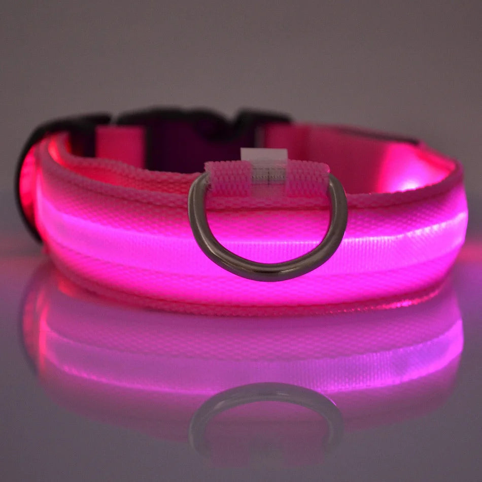 LED Safety Collar