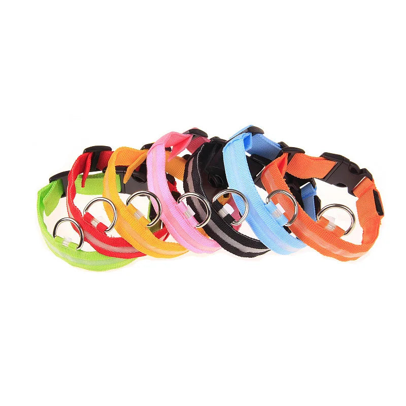 LED Safety Collar