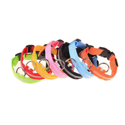 LED Safety Collar