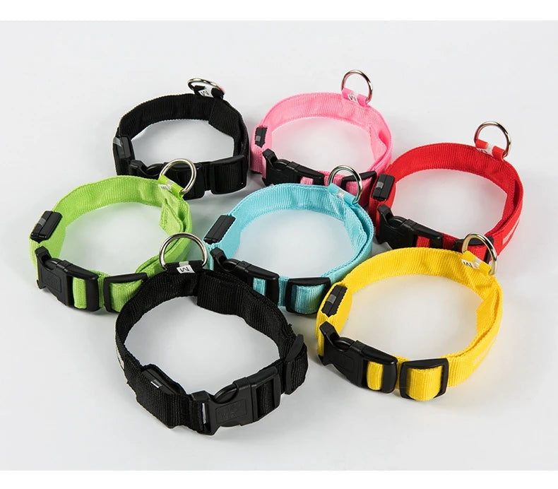 LED Safety Collar