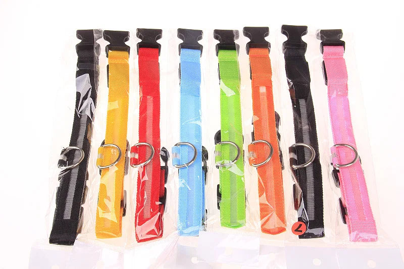 LED Safety Collar
