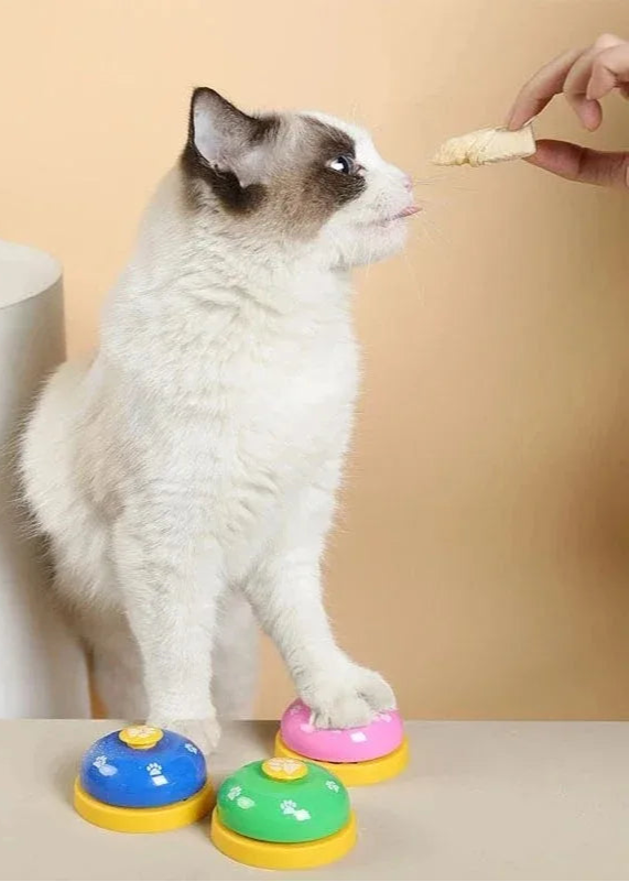 Pet Training Bell