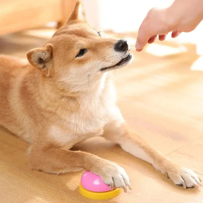 Pet Training Bell