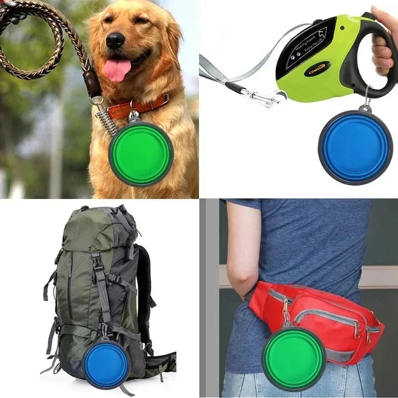 Pet Folding Bowl