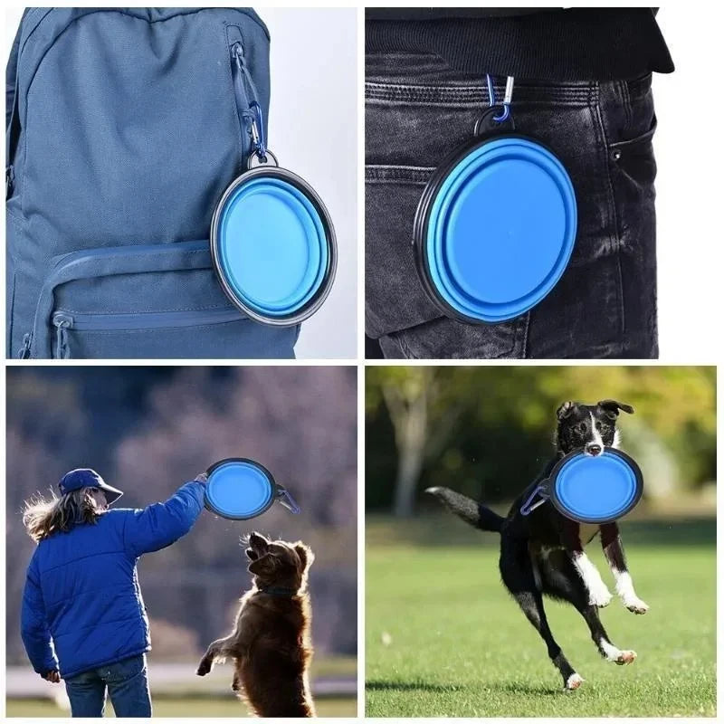 Pet Folding Bowl