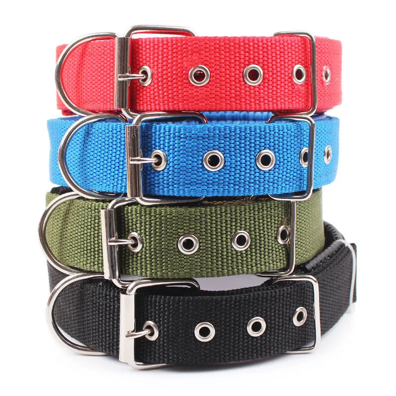 Solid Dog Collar