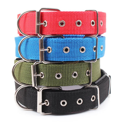 Solid Dog Collar