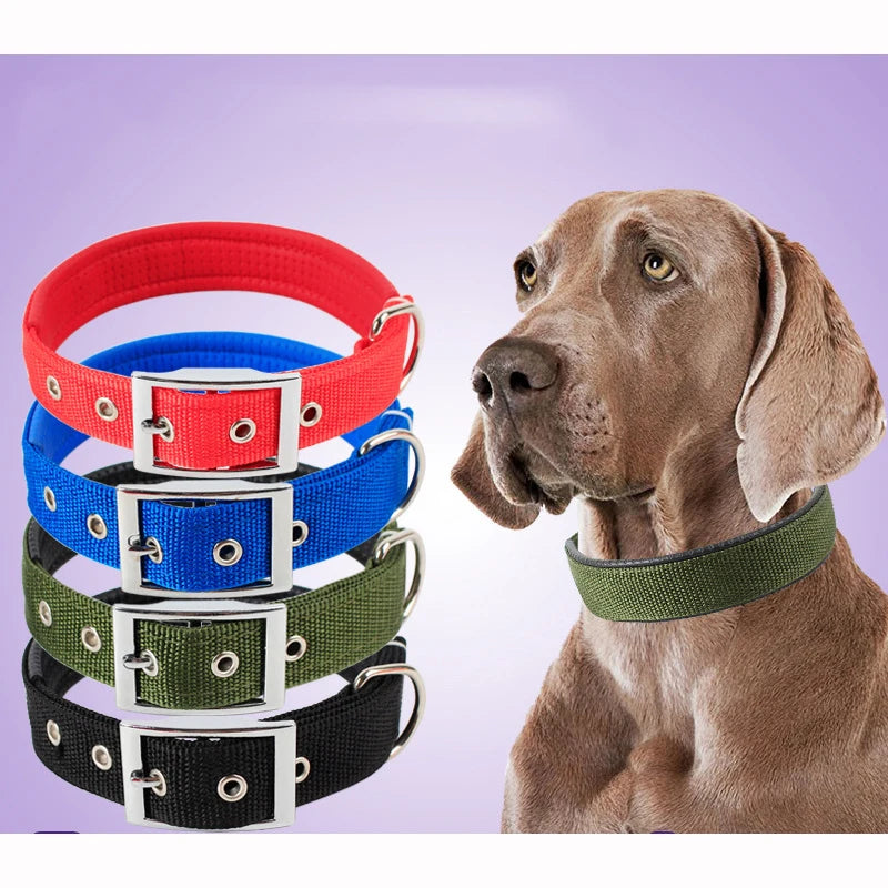 Solid Dog Collar