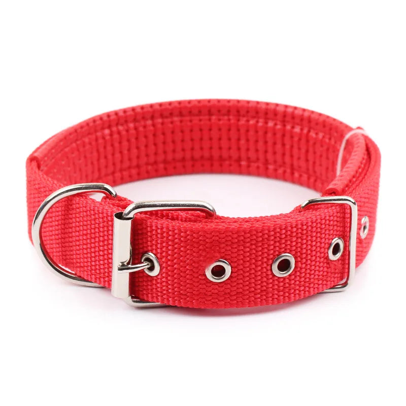 Solid Dog Collar