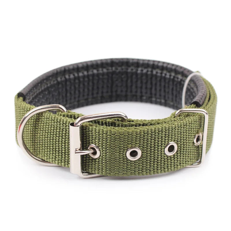 Solid Dog Collar