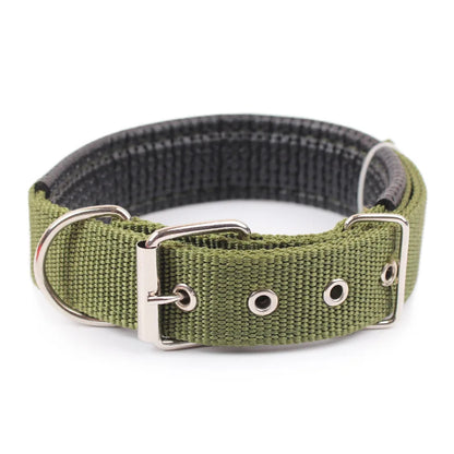 Solid Dog Collar