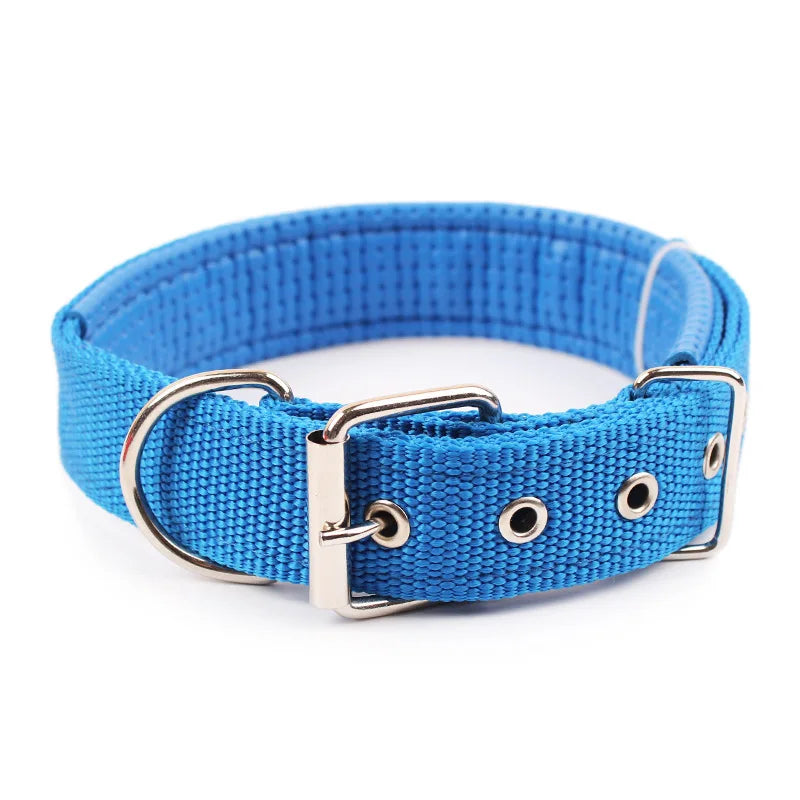 Solid Dog Collar