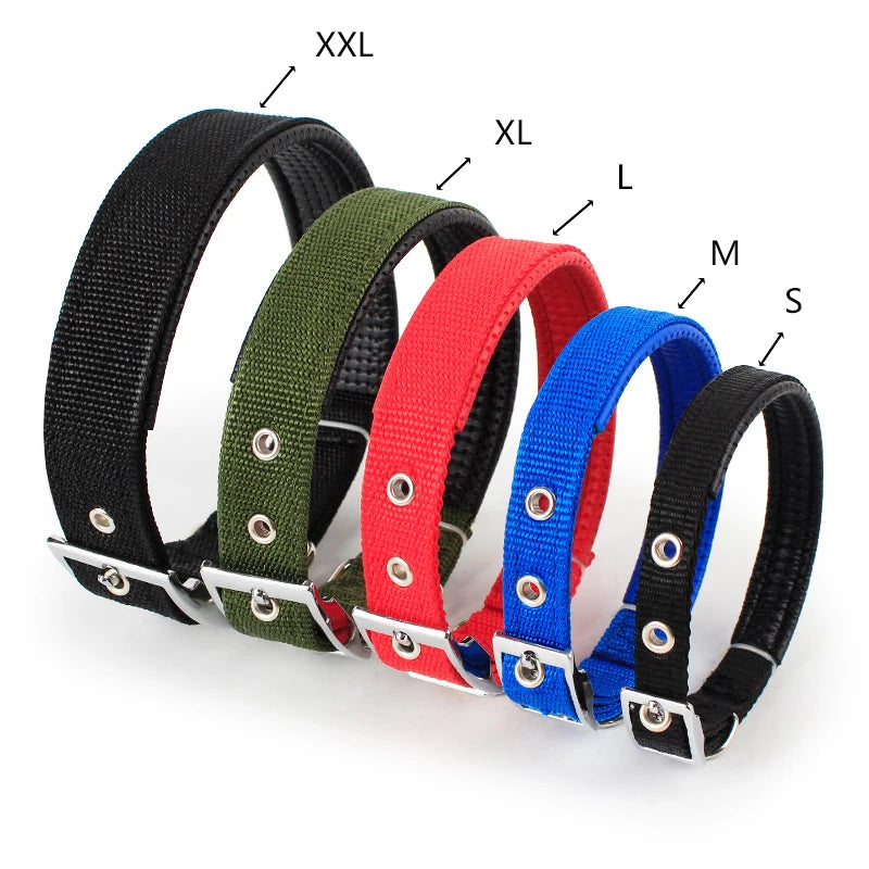 Solid Dog Collar