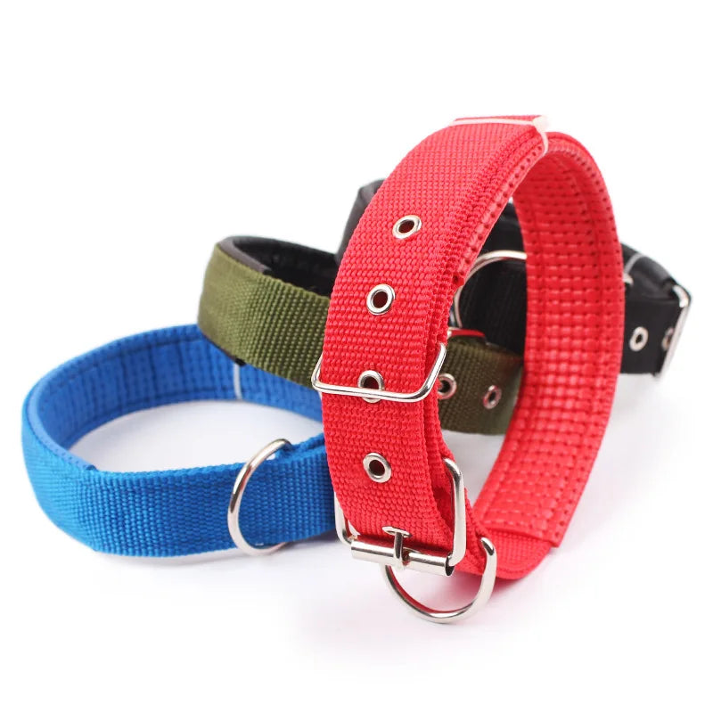 Solid Dog Collar
