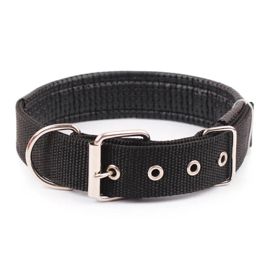 Solid Dog Collar