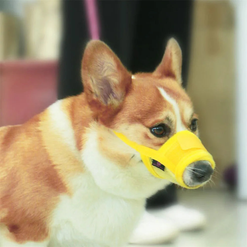 anti barking dog muzzle