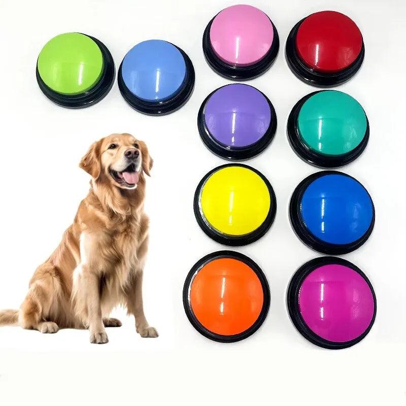 training buttons dogs