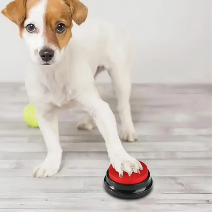 training buttons dogs